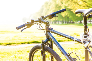 Fototapeta na wymiar Bike on a grass field