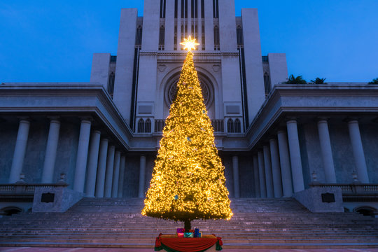 Christmas tree with lights in front of the big roman building.
