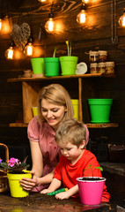 Natural concept. Mother and son replanting natural flower in new pot. Mother and child replanting natural houseplant in black soil or dirt. Natural ecosystem and resources