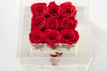 red rose bouquet in box. Aquarium with fish and roses. Flower shop. Floral design. Love and passion. Valentines day present. They are as beautiful as you