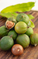 New harvest of ripe fresh Australian macadamia nuts in shell with leaves