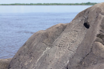 petroglyphs of the Amur river
