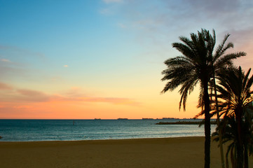 View on tranquil sea and palms in sunset