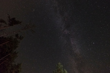 Stars in night sky