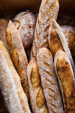 Different types of artisanal breads