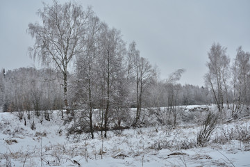 winter rural landscape with frozen trees in winter