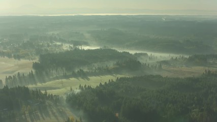 Oregon Wine Farm Country Aerial
