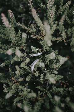 Wedding Rings