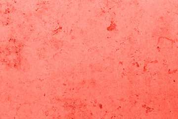 Fototapeta premium living coral brightness variations on concrete wall