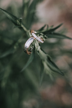 Wedding Rings
