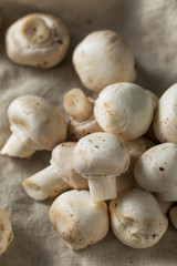 Raw Organic White Button Mushrooms