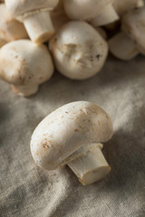 Raw Organic White Button Mushrooms