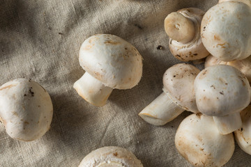 Raw Organic White Button Mushrooms