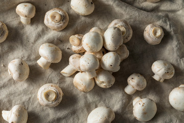 Raw Organic White Button Mushrooms