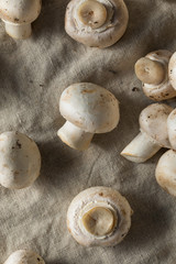 Raw Organic White Button Mushrooms