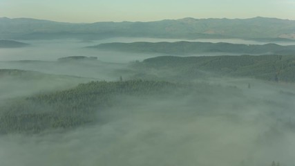 Industrial Pollution