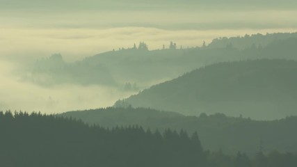 Industrial Pollution