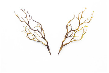 Christmas deer horn on white background, flat lay, top view