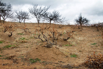 Panorami della Cappadocia, Turchia