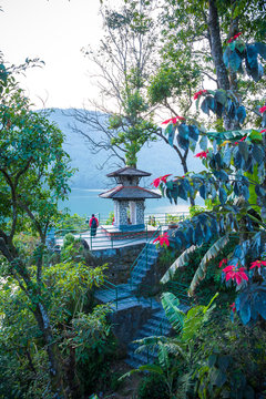 Green shore of lake Fewa, Pokhara. Small hindu temple and flowering trees.