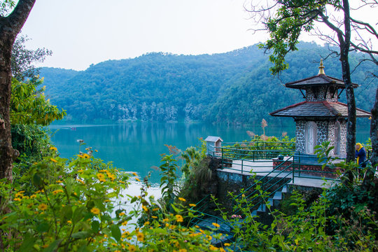 Green shore of lake Fewa, Pokhara. Small hindu temple and flowering trees.