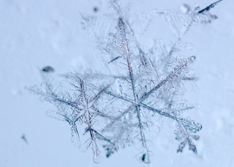 Fototapeta na wymiar Beautiful snow flake on a light blue background close up