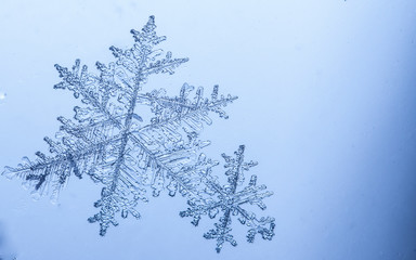 Beautiful snow flake on a light blue background close up