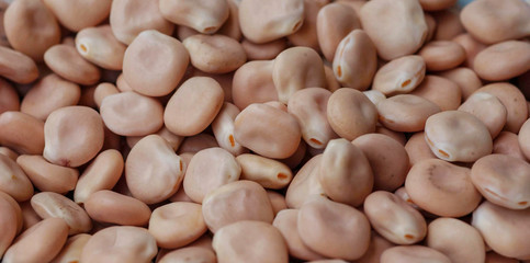 Lupin Beans