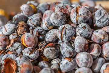 Detailed view of roasted chestnuts in coal