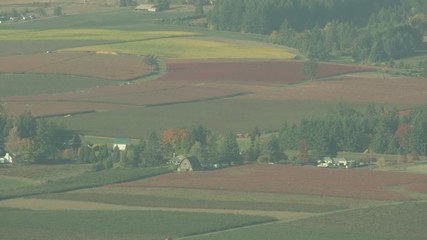 Oregon Wine Farm Country Aerial