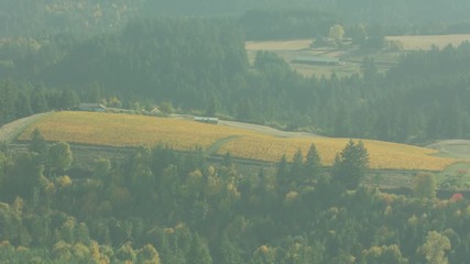 Oregon Wine Farm Country Aerial