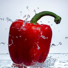 Paprika Splash in Water on white background,sweet pepper drop in the water