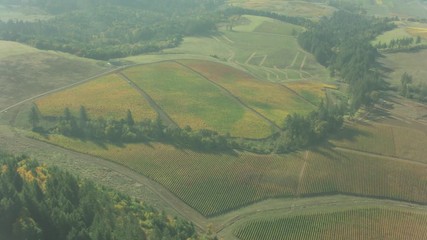 Oregon Wine Farm Country Aerial