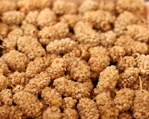 Sweet puffy berries useful for diabetes