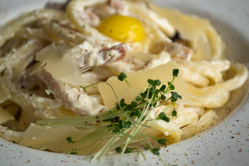 The italian pasta - carbonara. Close up.