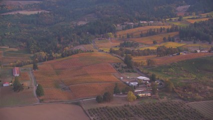 Oregon Wine Farm Country Aerial