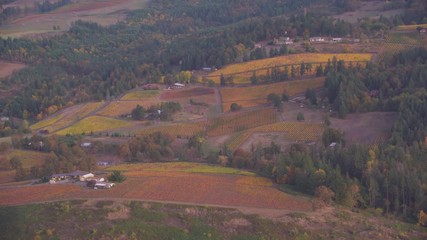 Oregon Wine Farm Country Aerial