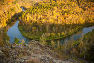 Siberian river and forest