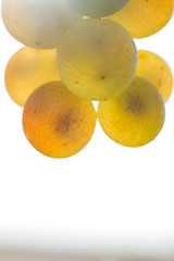 Detail of fresh grapes