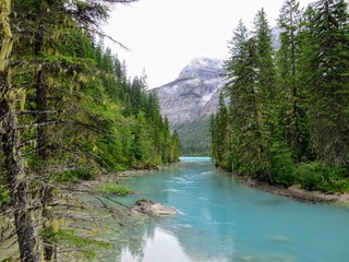 A remote turquoise river feeding into Kinney Lake, deep in the wilderness of the Rockies.  This photo was taken along the Berg Lake Trail in Mount Robson Provincial Park, British Columbia, Canada. 
