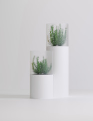 decorative high-tech plant vase on a colored background
