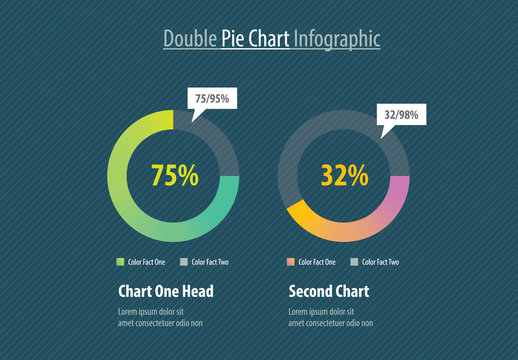Double Pie Chart Infographic Layout