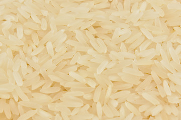 macro close up of rice