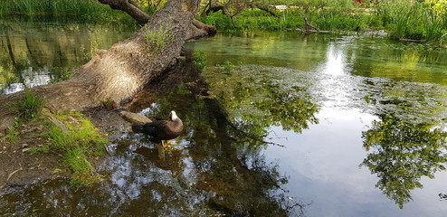 Drama saint Varvara park in Greece.