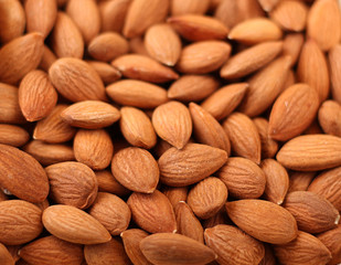 Magnificent delicious peanut butter