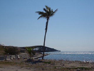 Seven Mile Bridge