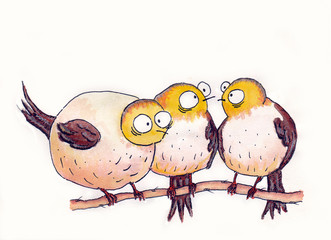 three birds on a branch