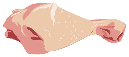 Fototapeta premium Raw Chicken Leg