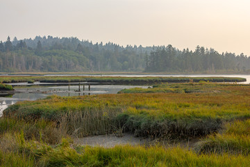 hazy smoky sky over washington wetland marsh