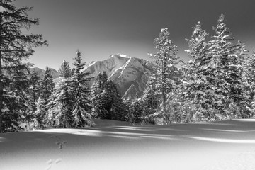 Winterlandschaft mit Berg im Hintergrund in schwarz weiß